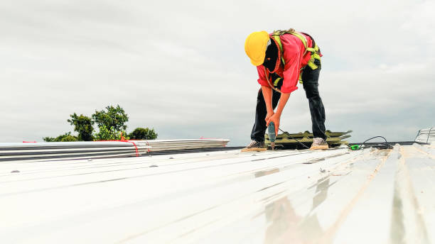 Professional Roofing Service  in Chadds Ford, PA